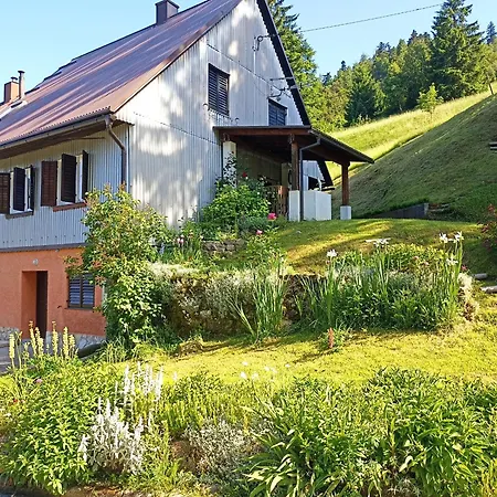 Apartman Osoj Mrzla Vodica Exterior photo
